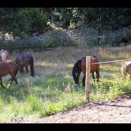 Reiterhof Finkenmuhle Fewo Willy *